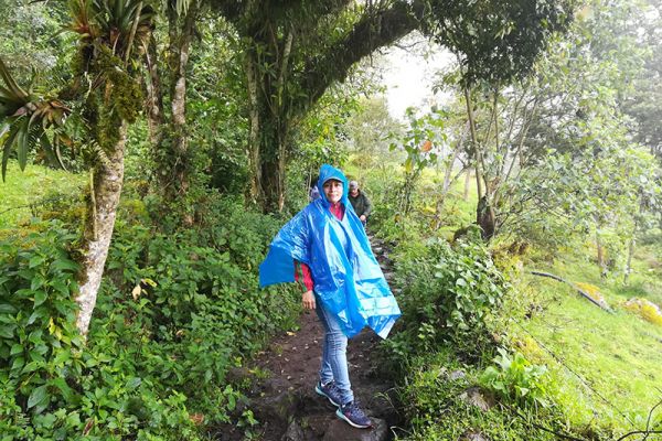 img-20181027-100101BBF06FA1-3252-AAD4-C0B2-B9AC2904471B.jpg