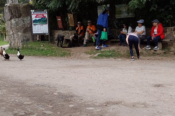 img-20220903-13445452492EBC-4EA7-9167-DF3E-04BB3B7AFC08.jpg