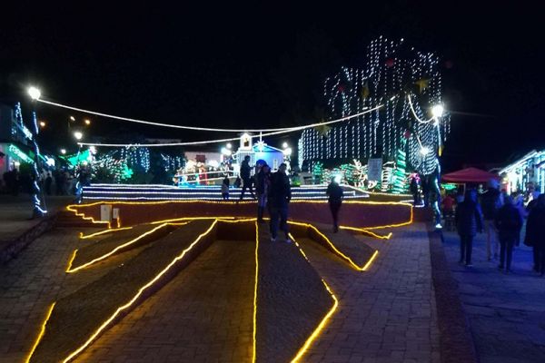 img-20181215-001739E1370DB9-8715-2D76-C3A6-A52ABA87B551.jpg