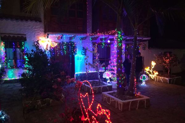 img-20181215-00291576D9CA2A-99E6-EB54-E7D0-CDF4D665C90D.jpg